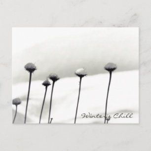 Cartão Postal Flores cobertas por neve