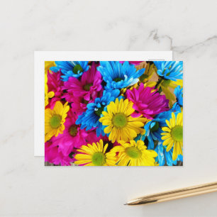 Cartão Postal Flores Coloridas, Margaridas - Azul Amarelo Rosa