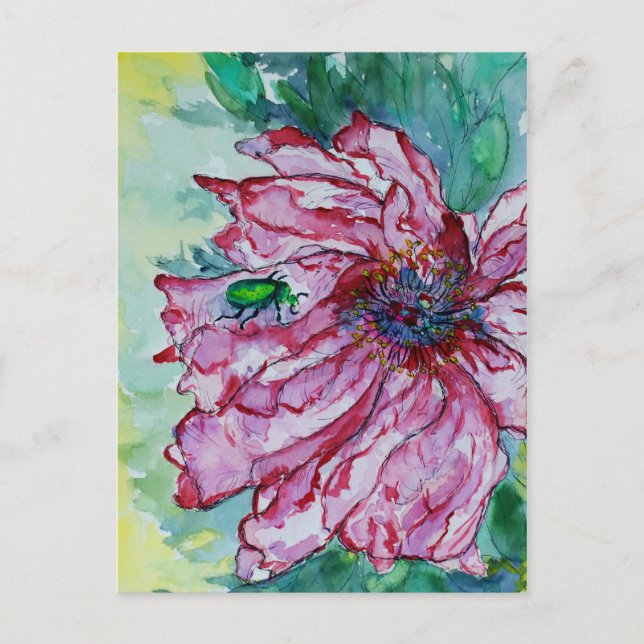 Cartão Postal Flores com Erros (Frente)