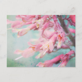 Cartão Postal Flores cor-de-rosa sobre fundo Aqua