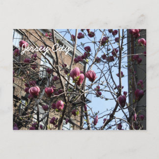 Cartão Postal Flores da cidade de Jersey