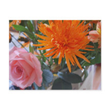 Flores da Primavera