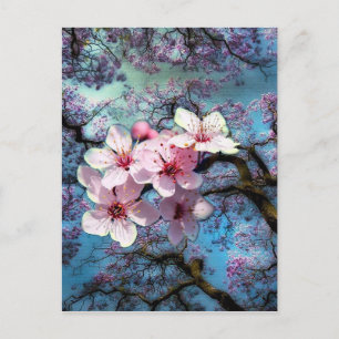 Cartão Postal Flores da Primavera Chegaram