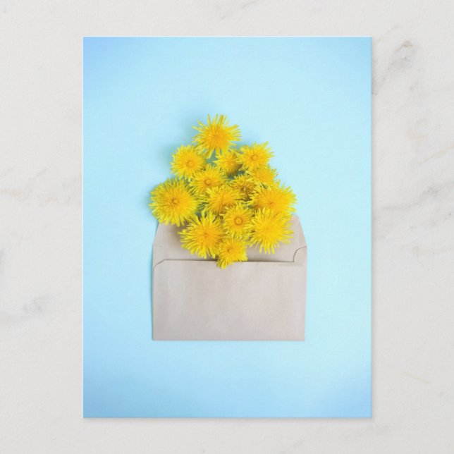 Cartão Postal Flores | Dandelions em Envelope (Frente)