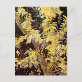 Cartão Postal Flores de Acacia Flagres Vincent van Gogh.