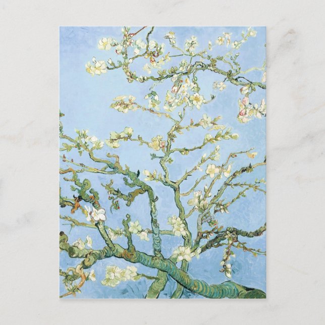 Cartão Postal Flores de Amendoeira de Van Gogh (Frente)