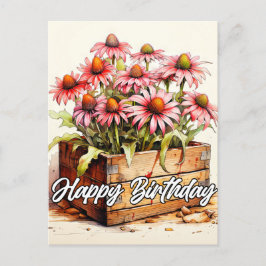 Cartão Postal Flores de Áster Bem Plantadas