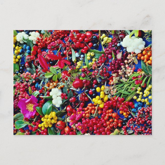 Cartão Postal Flores de bagas de outono (Frente)