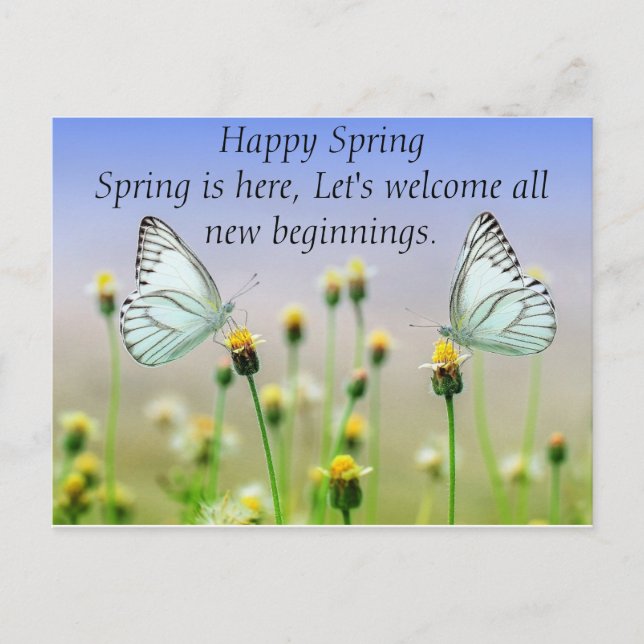 Cartão Postal Flores de Borboletas (Frente)