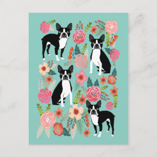 Cartão Postal Flores de Boston Terrier Spring - boston terrier f