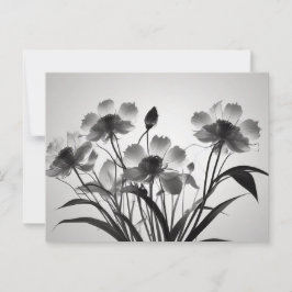 Cartão Postal Flores de Cosmos Elegantes em Sangue