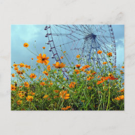 Cartão Postal Flores de Cosmos Laranja & Roda Gigante: Cartão-Po
