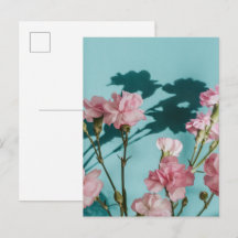 Flores de cravo rosa sonhador sobre fundo azul