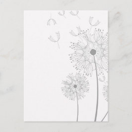 Cartão Postal Flores de Dandelion Flores Paz Amor Destino
