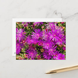 Cartão Postal Flores De Gelo Roxo