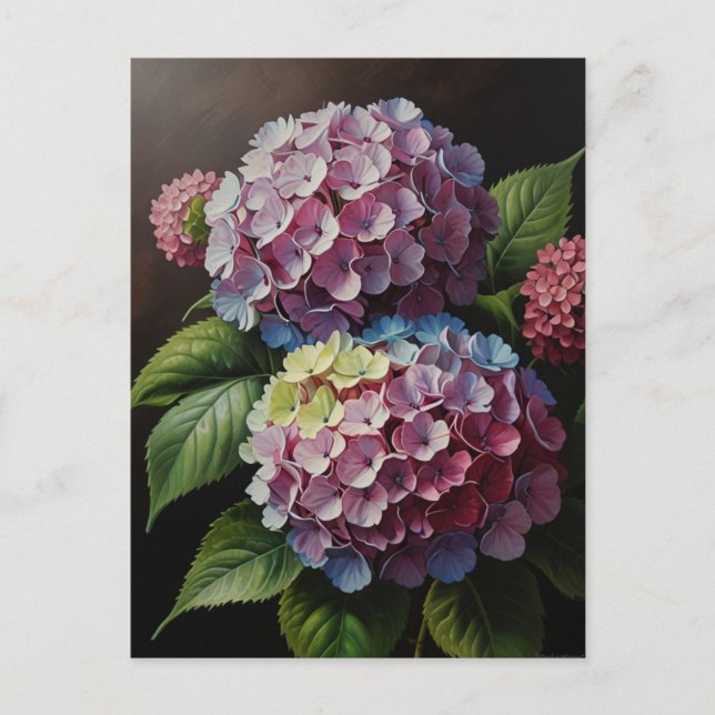Cartão Postal Flores de hortênsia (Frente)
