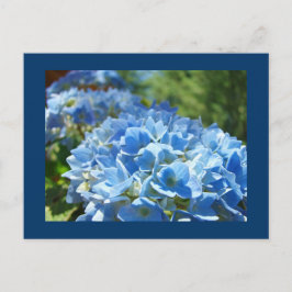 Cartão Postal Flores de Hortênsia Azul postais Adicione Seu Text
