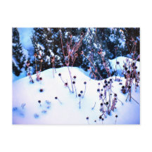 Flores de Inverno Neve Árvores Natureza
