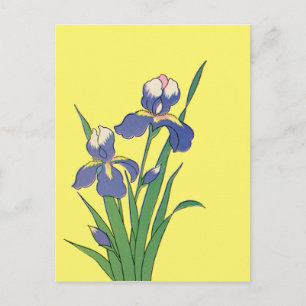 Cartão Postal Flores de Íris de Jardim de Primavera Floral Vinta