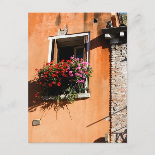 Cartão Postal Flores de Janela (Frente)