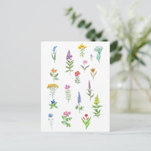 Cartão Postal flores de jardim