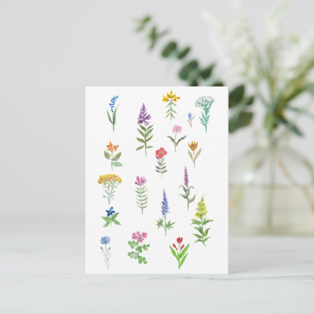 Cartão Postal flores de jardim (Em pé/Frente)