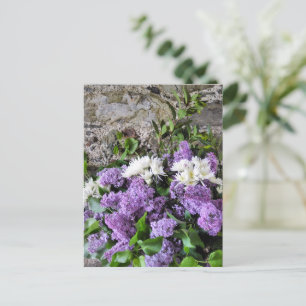 CARTÃO POSTAL FLORES DE JARDIM