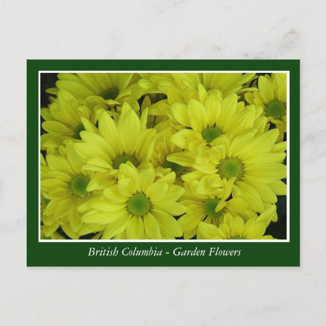 Cartão Postal flores de jardim da BC (Frente)