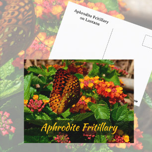 Cartão Postal Flores de Lantana Borboleta Fritilária Fotográfico