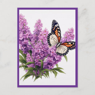 CARTÃO POSTAL FLÔRES DE LAVANDA COM BORBOLETA