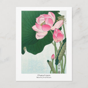 Cartão Postal Flores de lótus florescentes - Ohara Koson - Vint