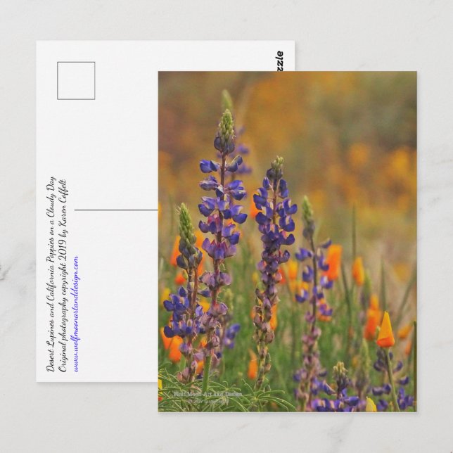 Cartão Postal Flores De Lupina Do Deserto Azul E Poppias Laranja (Frente/Verso)