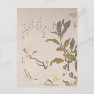 Cartão Postal Flores de Magnolia - Kubo Shunman (Japonês)