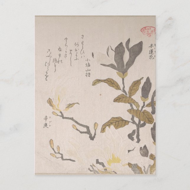 Cartão Postal Flores de Magnolia - Kubo Shunman (Japonês) (Frente)
