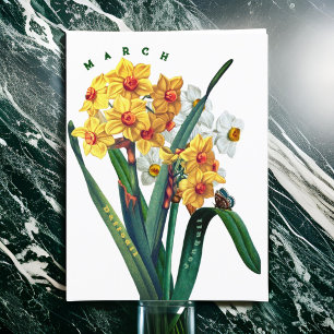 Cartão Postal Flores de Março Jonquil Narciso