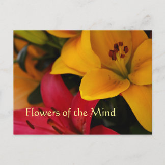 Cartão Postal Flores de mercado II