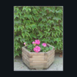 Cartão Postal Flores de Monet<br><div class="desc">Um lugar bonito que deu inspiração ao excelente.</div>