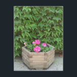 Cartão Postal Flores de Monet<br><div class="desc">Um lugar bonito que deu inspiração ao excelente.</div>