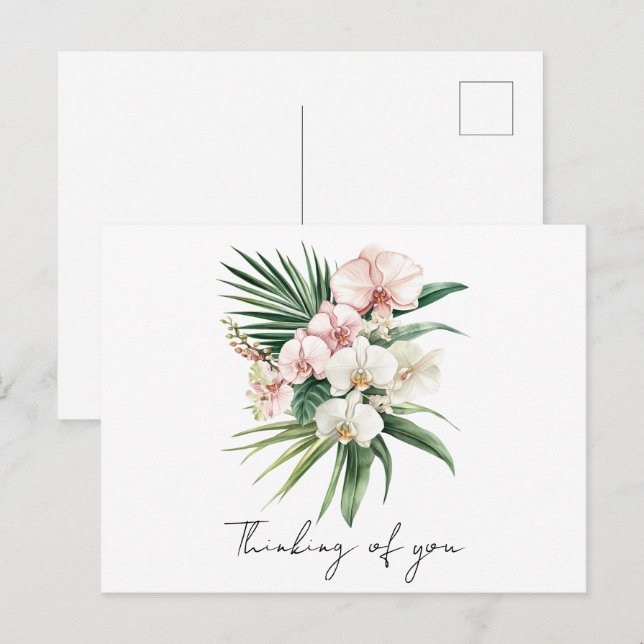 Cartão Postal Flores de Orquídea Rosa Tropical (Frente/Verso)