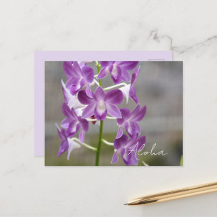Cartão Postal Flores de Orquídea Rosa Tropical Kauai