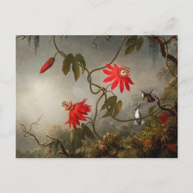 Cartão Postal Flores de Paixão com Pássaros Hummingbird (Frente)