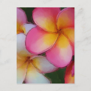 Cartão Postal Flores de Plumeria Rosa Frangipani