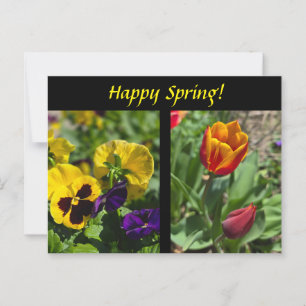 Cartão Postal Flores de primavera
