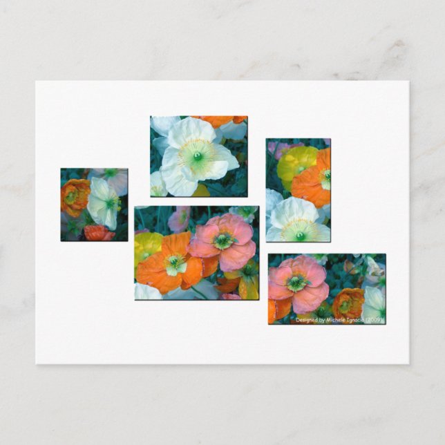 Cartão Postal Flores de primavera (Frente)