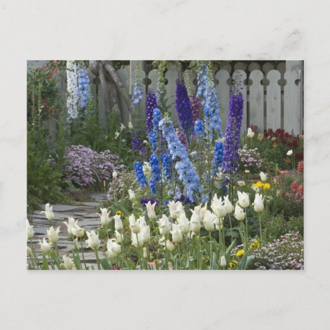 Cartão Postal Flores de primavera ao longo de um caminho de jard (Frente)