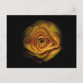 Cartão Postal Flores de quintal n.o 74 - Versão a cores