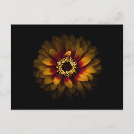 Cartão Postal Flores De Quintal Sem Versão De 69 Cores