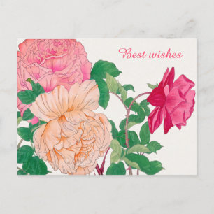 Cartão Postal Flores de Rosa cor-de-rosa e cor-de-laranja-clara 