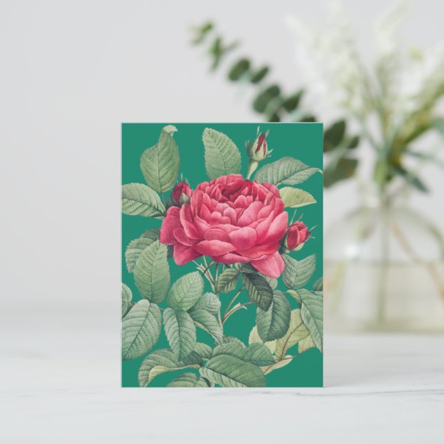 Cartão Postal Flores de Rosa Vermelha com Folhas Verdes OBRIGADO (Em pé/Frente)