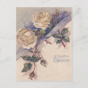 Cartão Postal Flores de Rosas de Rosa Branca
